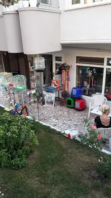 Yalı petshop
