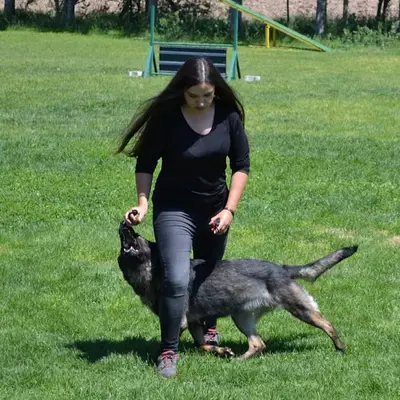 Alanya köpek eğitmeni