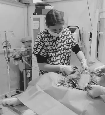 Veteriner Kliniği