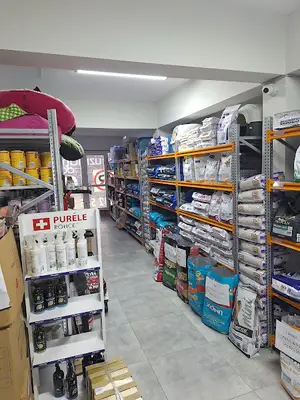 Pasteur Petshop Alo Mama