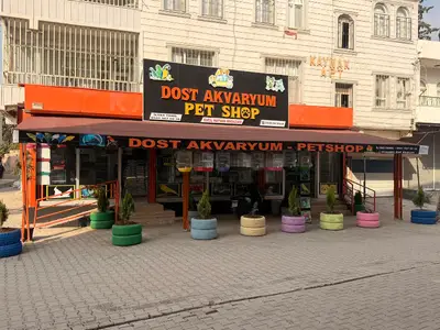 Dost akvaryum petshop