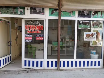 Çağdaş Veteriner Kliniği