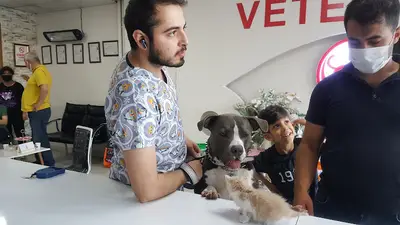 Veteriner Kliniği