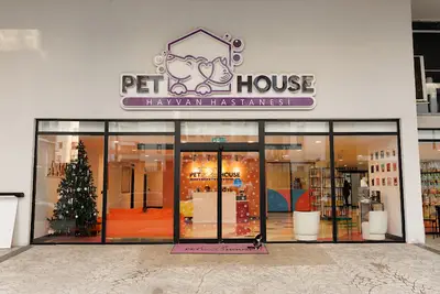 relax pet hause fotoğrafı