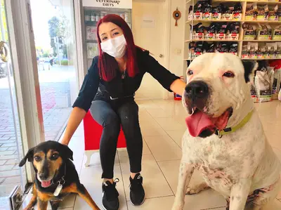 Alfa Veteriner Klinigi fotoğrafı