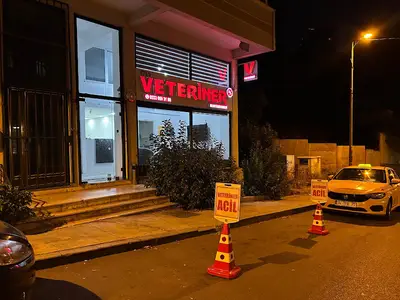 Şişli PetFulya Veteriner Kliniği - 7/24 Acil Veteriner