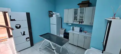 Kuzeykent Veteriner Kliniği fotoğrafı