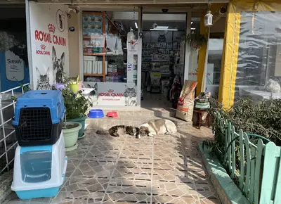 İzmir Pets