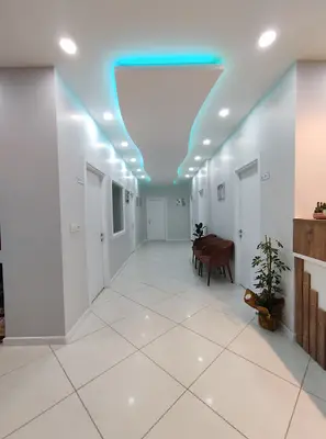 Maxivet Veteriner Kliniği | Hendek