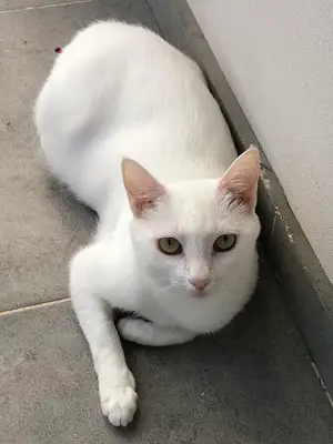BTN Veteriner Kliniği fotoğrafı
