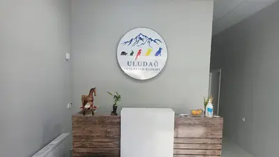 Uludağ Veteriner Kliniği | 7/24 Acil Veteriner | Bursa Veteriner | Nöbetçi Veteriner | Osmangazi Veteriner