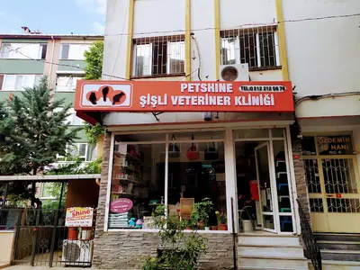 Şişli Petshine Veteriner
