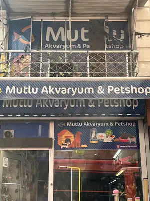 Mutlu Petshop