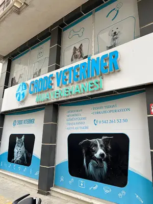 Sinop Veteriner Kliniği