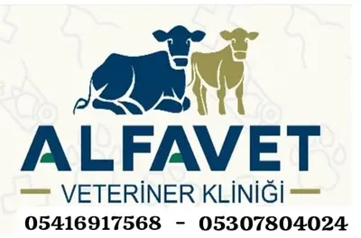 Alfavet veteriner kliniği