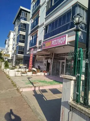 PETMA