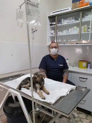 Akçakoca Veteriner Kliniği