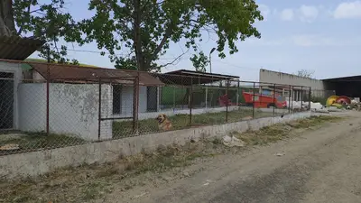 Yeniçiftlik Barınağı