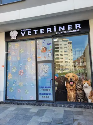 Ekinoba Veteriner Kliniği