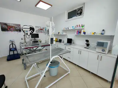Friendly Veteriner Kliniği