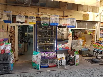 Özgür Akvaryum