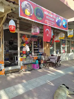 Muhabbetim Petshop