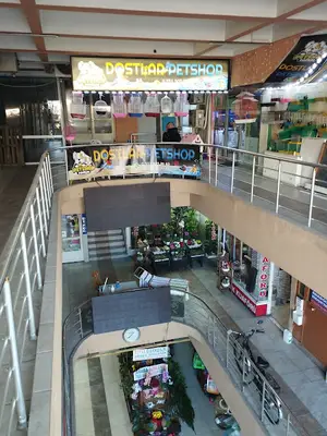 YUNUS AKVARYUM VE KUŞ GALERİSİ