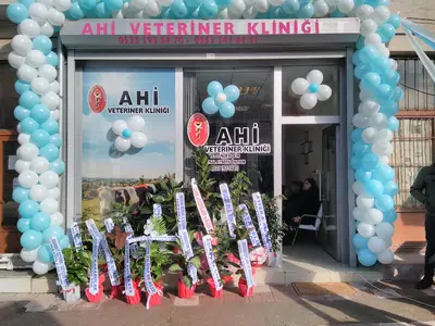 Veteriner Hekim Semih Çetinkaya
