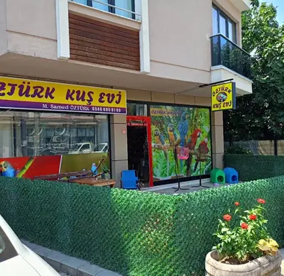 Murat Genç Hobi Üretim Muhappet Kuşu