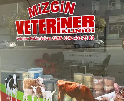 Mizgin veteriner kliniği