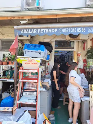 Adalar Petshop