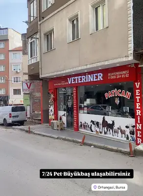 Patican Veteriner (PET PANSİYON ,CERRAHİ VE BÜYÜKBAŞ)