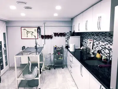 Petlife Veteriner Kliniği fotoğrafı