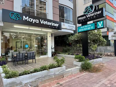 Maya Veteriner Kliniği fotoğrafı