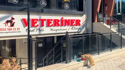 Can Pati Veteriner Kliniği
