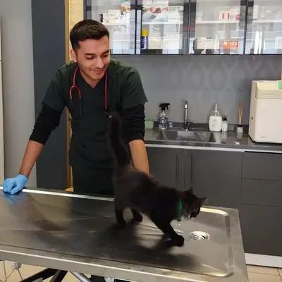 Vetcom Kayseri Veteriner Kliniği