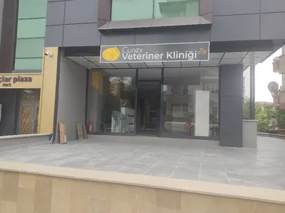 Güney veteriner kliniği