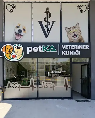 PetKA veteriner kliniği