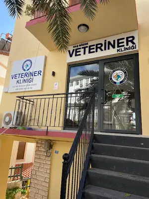 Kaş Gözde Veteriner Kliniği
