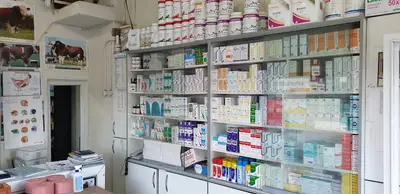 Dilan Veteriner Kliniği