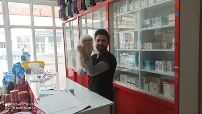 AYVERDİ VETERİNER KLİNİĞİ