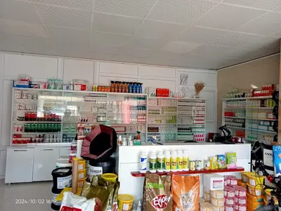 GÜNSEL VETERİNER KLİNİĞİN