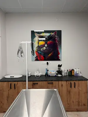 adasya veteriner kliniği