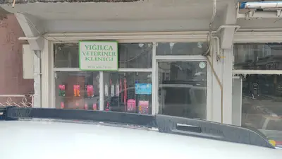 YIĞILCA VETERİNER KLİNİĞİ