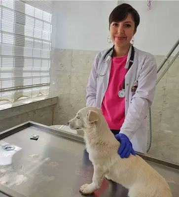 Pati Pati Veteriner Kliniği