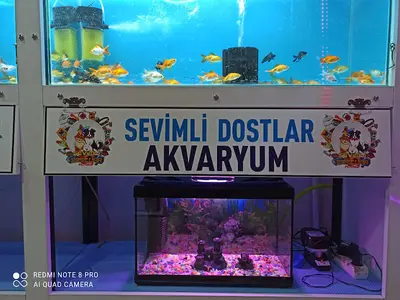 Şarkışla | Sevimli Dostlar Petshop | Akvaryum & Kuş Dünyası