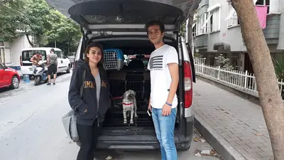 Çınar Pet Taksi