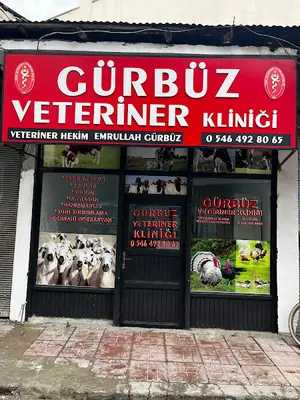 Gürbüz veteriner Kliniği