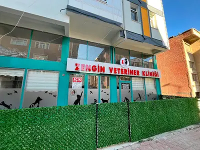 Vet-2000 Veteriner Kliniği