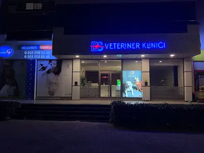 DB Bornova Veteriner Kliniği - İzmir